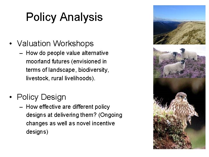 Policy Analysis • Valuation Workshops – How do people value alternative moorland futures (envisioned