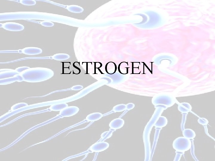 ESTROGEN 