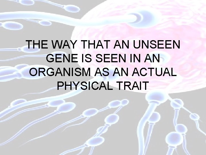 THE WAY THAT AN UNSEEN GENE IS SEEN IN AN ORGANISM AS AN ACTUAL