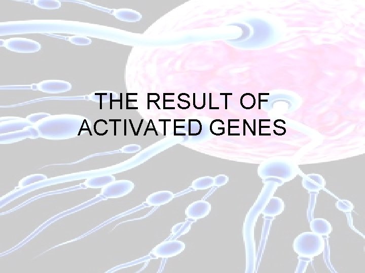 THE RESULT OF ACTIVATED GENES 