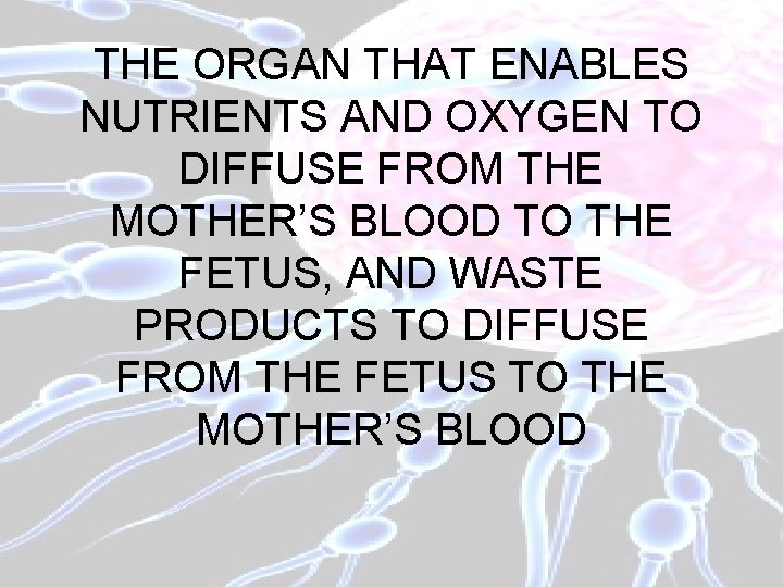 THE ORGAN THAT ENABLES NUTRIENTS AND OXYGEN TO DIFFUSE FROM THE MOTHER’S BLOOD TO