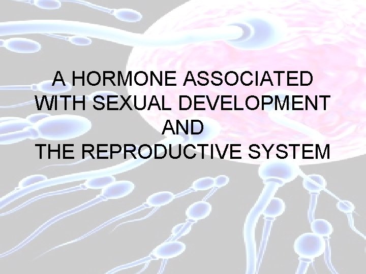 A HORMONE ASSOCIATED WITH SEXUAL DEVELOPMENT AND THE REPRODUCTIVE SYSTEM 