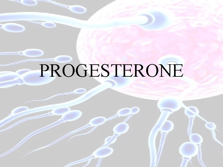 PROGESTERONE 