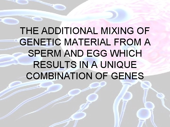 THE ADDITIONAL MIXING OF GENETIC MATERIAL FROM A SPERM AND EGG WHICH RESULTS IN