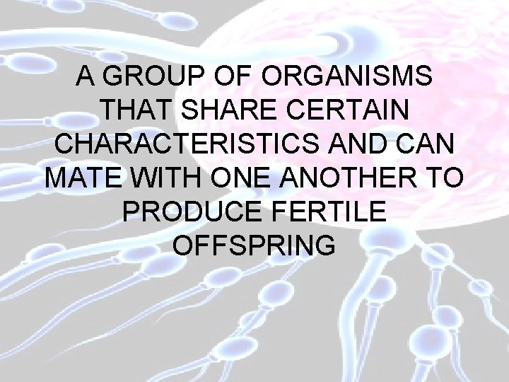 A GROUP OF ORGANISMS THAT SHARE CERTAIN CHARACTERISTICS AND CAN MATE WITH ONE ANOTHER