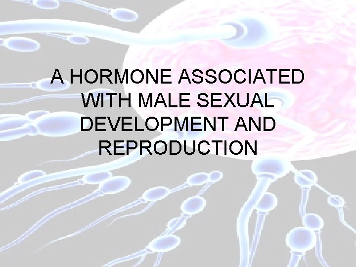 A HORMONE ASSOCIATED WITH MALE SEXUAL DEVELOPMENT AND REPRODUCTION 