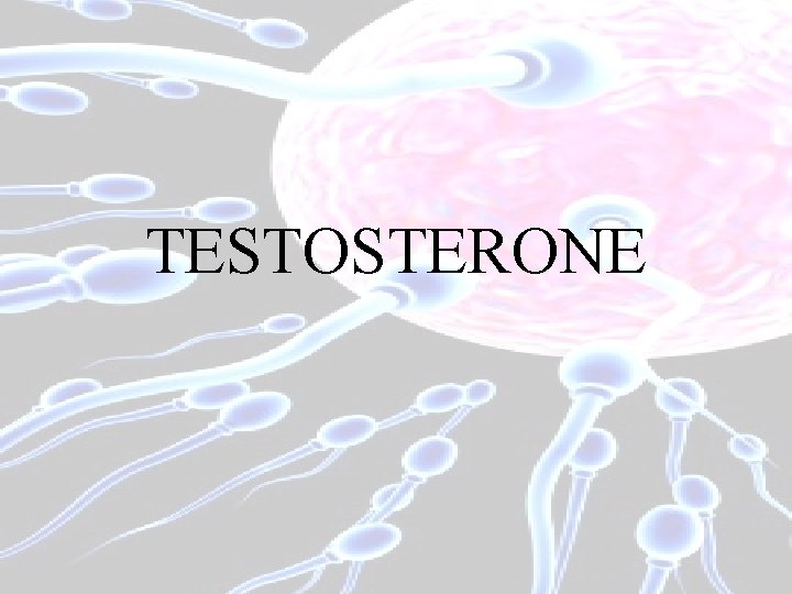 TESTOSTERONE 