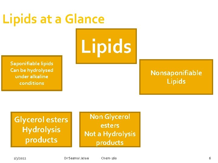 Lipids at a Glance Lipids Saponifiable lipids Can be hydrolysed under alkaline conditions Nonsaponifiable