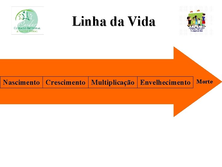 Linha da Vida Nascimento Crescimento Multiplicação Envelhecimento Morte 