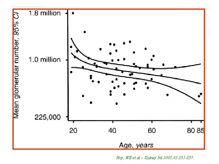 Hoy, WE et al – Kidney Int 2003; 63: S 31 -S 37. 