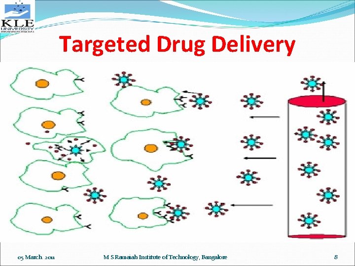 Targeted Drug Delivery 05 March. 2011 M S Ramaiah Institute of Technology, Bangalore 8