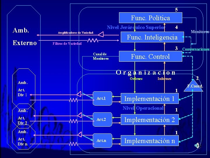 5 Func. Política Amb. Externo Nivel Jerárquico Superior Amplificadores de Variedad 4 Func. Inteligencia