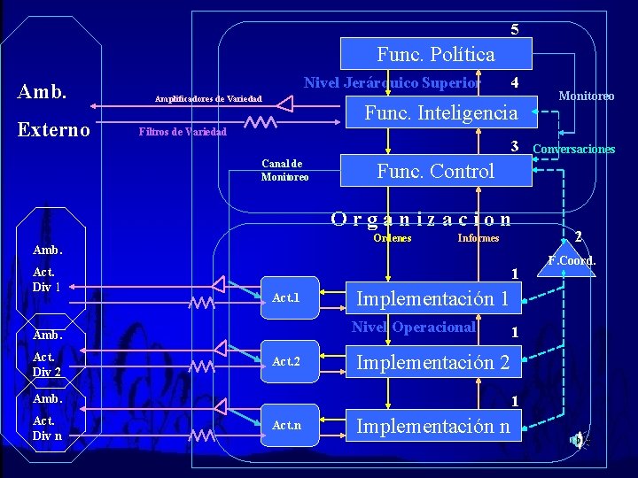 5 Func. Política Amb. Externo Nivel Jerárquico Superior Amplificadores de Variedad 4 Func. Inteligencia