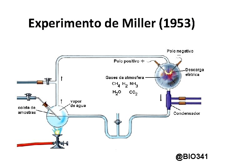 Experimento de Miller (1953) @BIO 341 