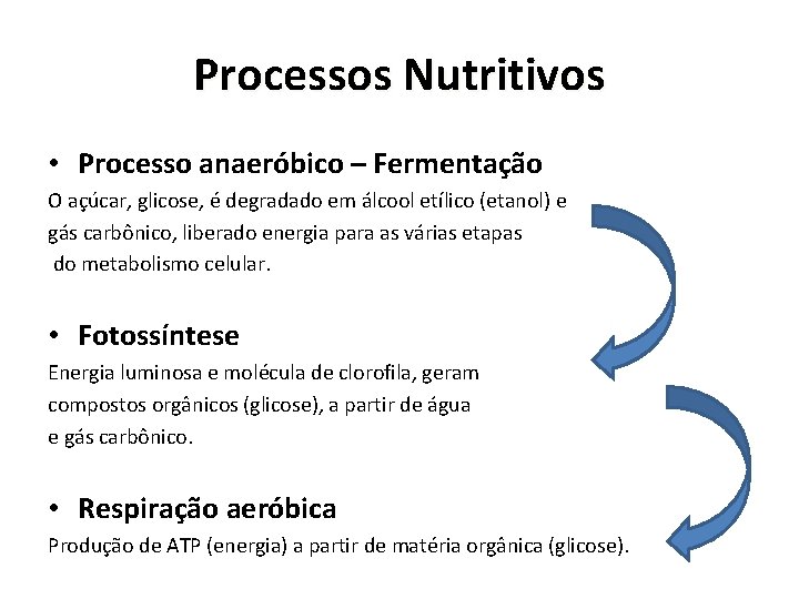 Processos Nutritivos • Processo anaeróbico – Fermentação O açúcar, glicose, é degradado em álcool