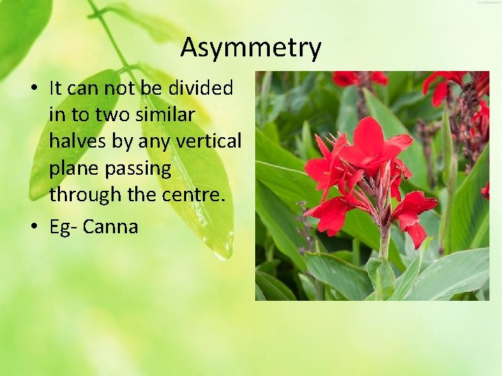 Asymmetry • It can not be divided in to two similar halves by any