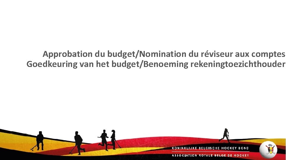 Approbation du budget/Nomination du réviseur aux comptes Goedkeuring van het budget/Benoeming rekeningtoezichthouder 