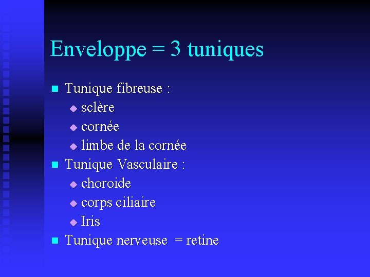 Enveloppe = 3 tuniques n n n Tunique fibreuse : u sclère u cornée