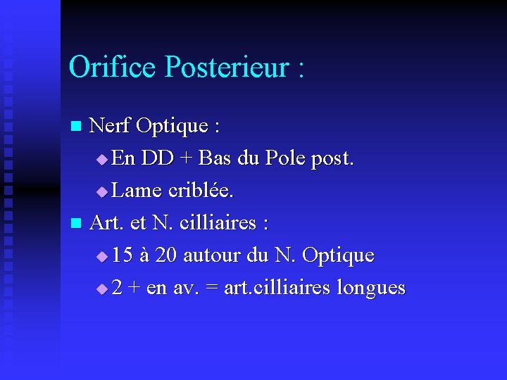 Orifice Posterieur : Nerf Optique : u En DD + Bas du Pole post.