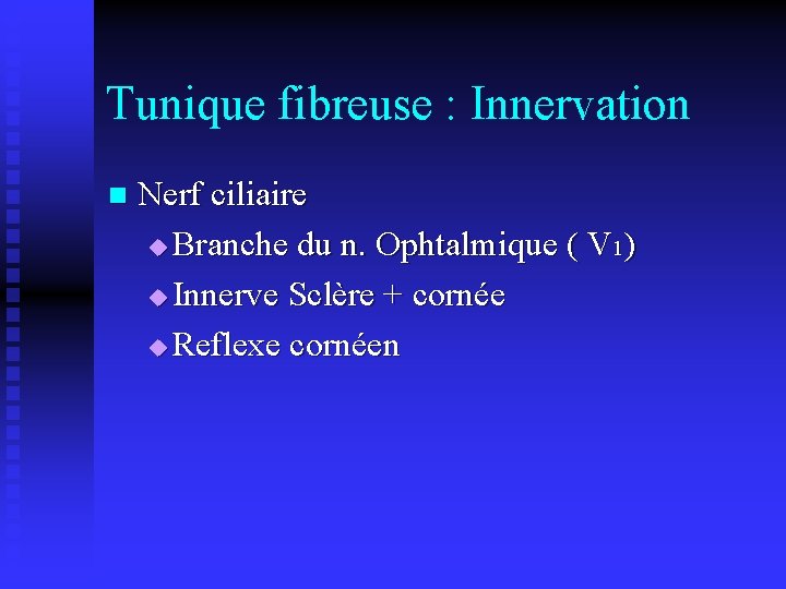 Tunique fibreuse : Innervation n Nerf ciliaire u Branche du n. Ophtalmique ( V