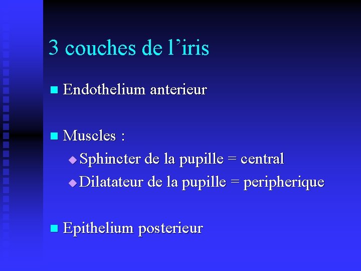 3 couches de l’iris n Endothelium anterieur n Muscles : u Sphincter de la