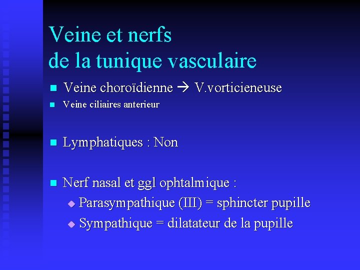 Veine et nerfs de la tunique vasculaire n Veine choroïdienne V. vorticieneuse n Veine