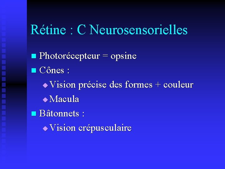 Rétine : C Neurosensorielles Photorécepteur = opsine n Cônes : u Vision précise des