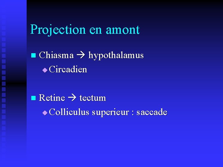 Projection en amont n Chiasma hypothalamus u Circadien n Retine tectum u Colliculus superieur