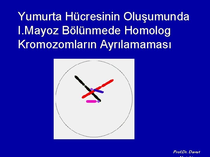 Yumurta Hücresinin Oluşumunda I. Mayoz Bölünmede Homolog Kromozomların Ayrılamaması Prof. Dr. Davut 
