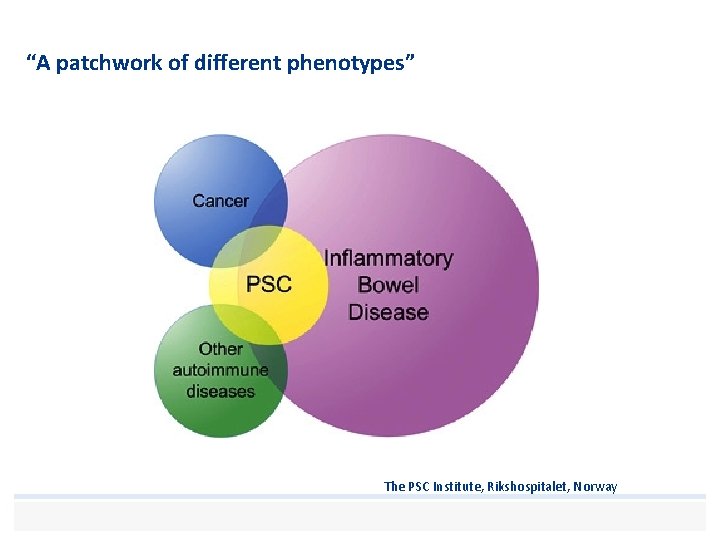 “A patchwork of different phenotypes” The PSC Institute, Rikshospitalet, Norway 