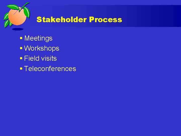 Stakeholder Process § Meetings § Workshops § Field visits § Teleconferences 