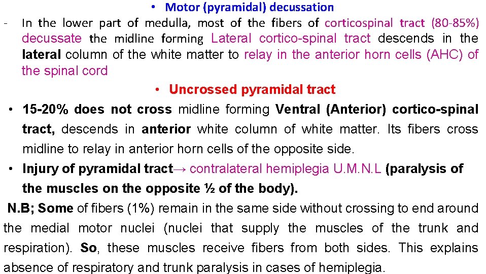  • Motor (pyramidal) decussation - In the lower part of medulla, most of