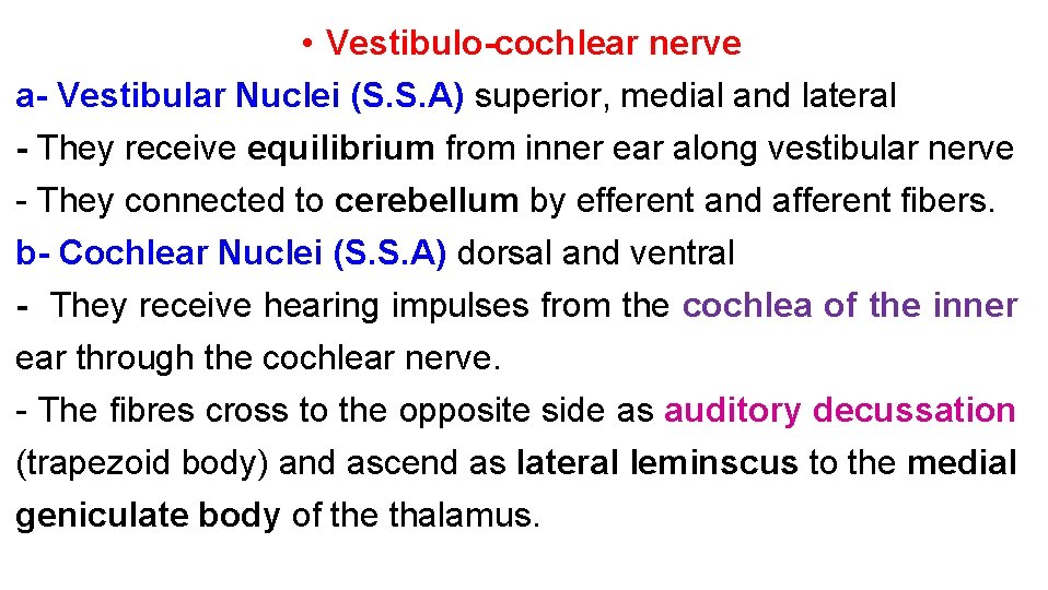  • Vestibulo-cochlear nerve a- Vestibular Nuclei (S. S. A) superior, medial and lateral
