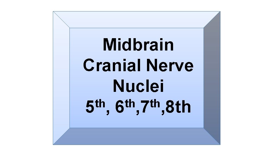 Midbrain Cranial Nerve Nuclei th th th 5 , 6 , 7 , 8