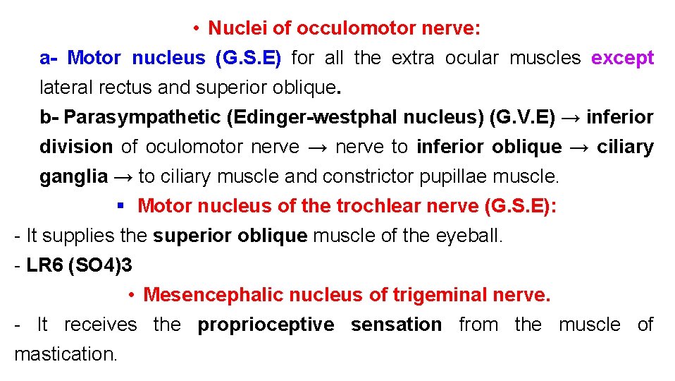  • Nuclei of occulomotor nerve: a- Motor nucleus (G. S. E) for all