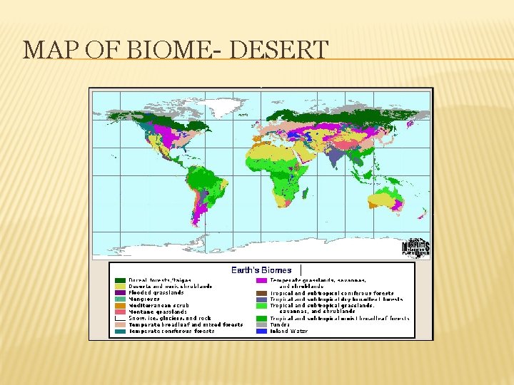 MAP OF BIOME- DESERT 
