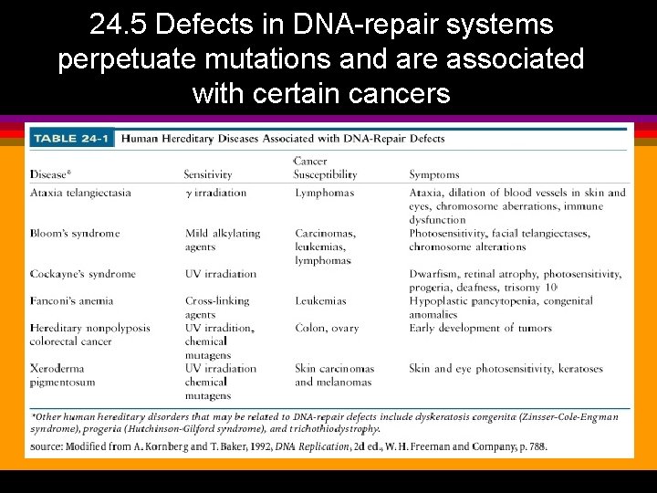 24. 5 Defects in DNA-repair systems perpetuate mutations and are associated with certain cancers