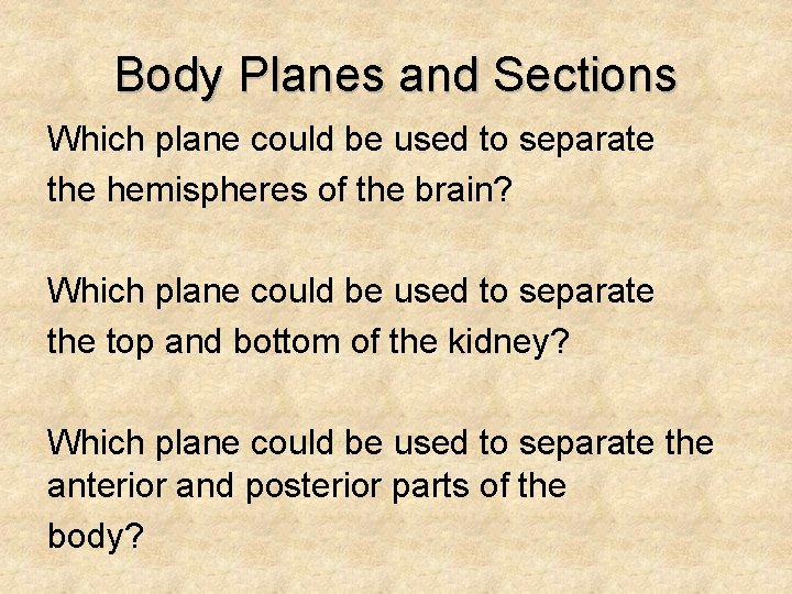 Body Planes and Sections Which plane could be used to separate the hemispheres of