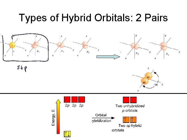 Types of Hybrid Orbitals: 2 Pairs 