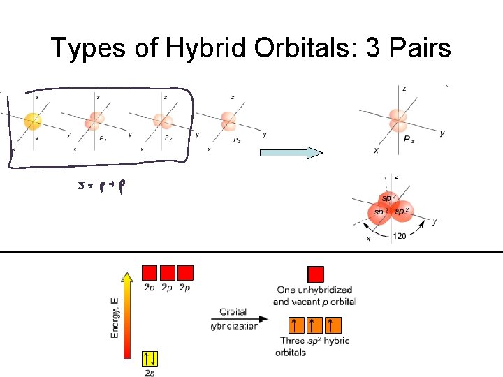 Types of Hybrid Orbitals: 3 Pairs 