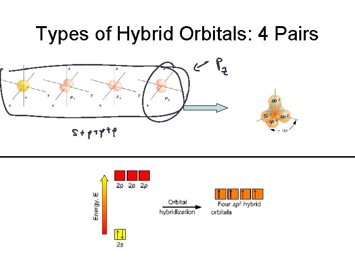 Types of Hybrid Orbitals: 4 Pairs 