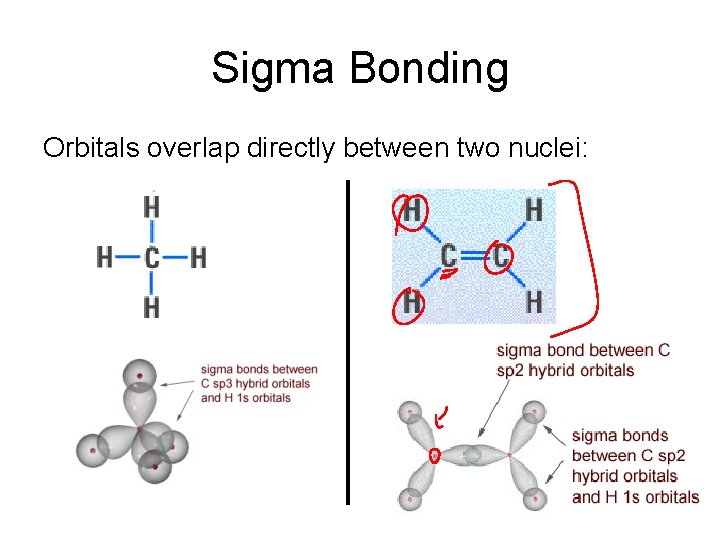Sigma Bonding Orbitals overlap directly between two nuclei: 