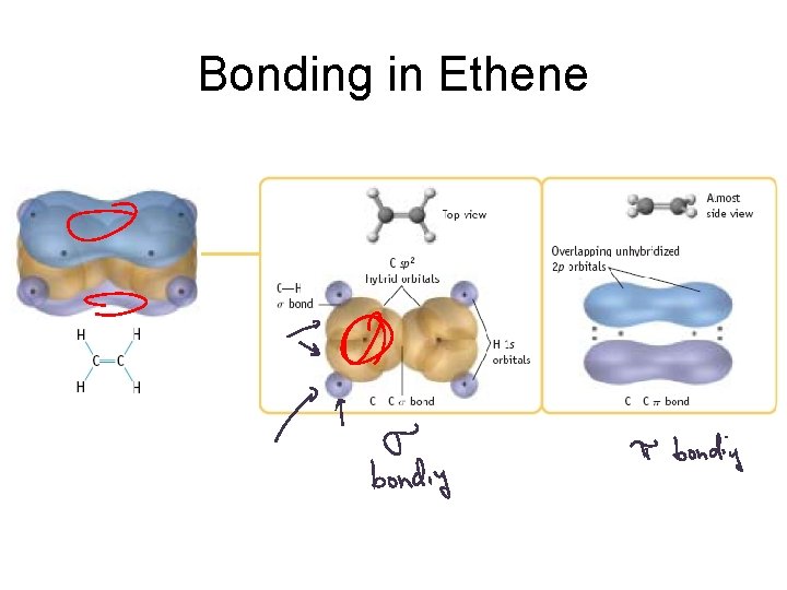 Bonding in Ethene 