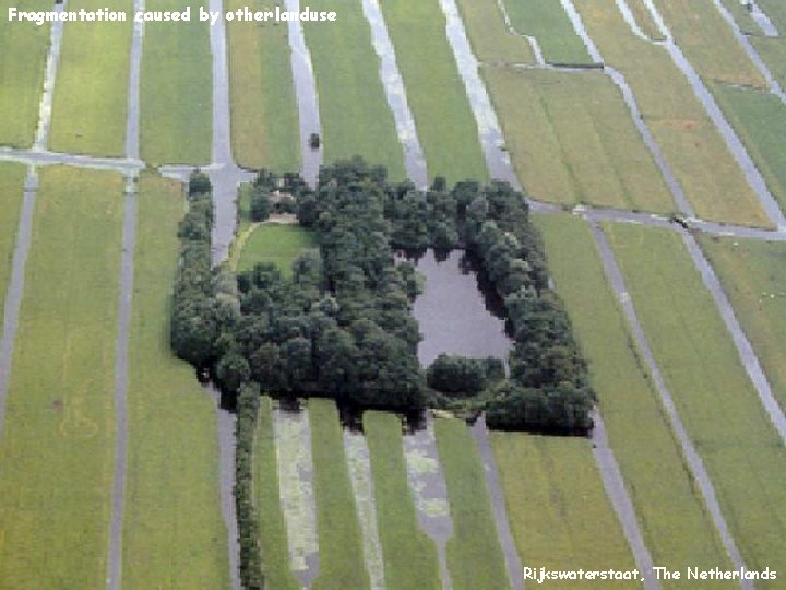 Fragmentation caused by other landuse Rijkswaterstaat, The Netherlands 