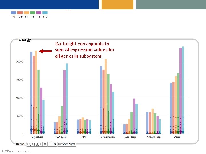 Colors correspond to timepoints Bar height corresponds to sum of expression values for all