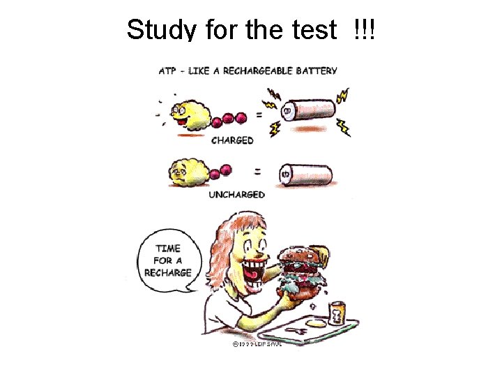 Study for the test !!! 