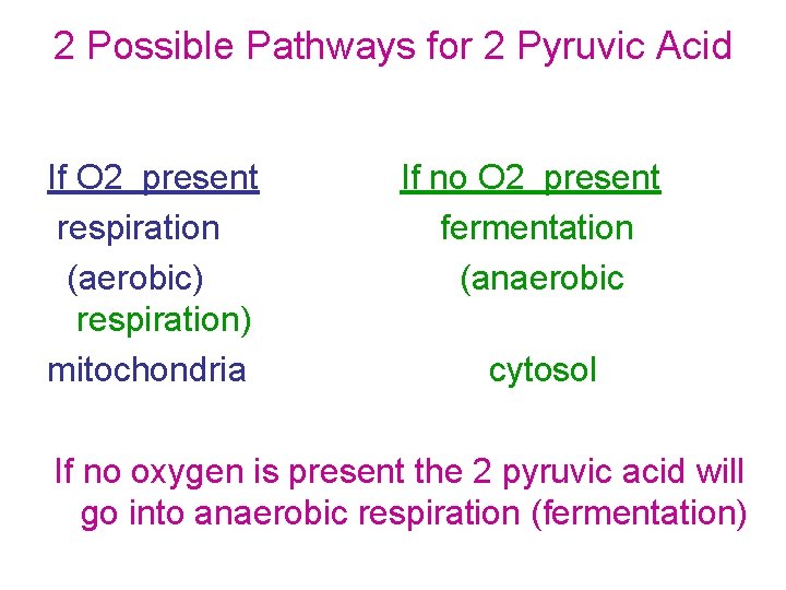 2 Possible Pathways for 2 Pyruvic Acid If O 2 present respiration (aerobic) respiration)