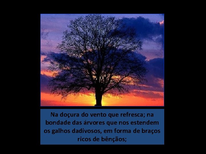 Na doçura do vento que refresca; na bondade das árvores que nos estendem os