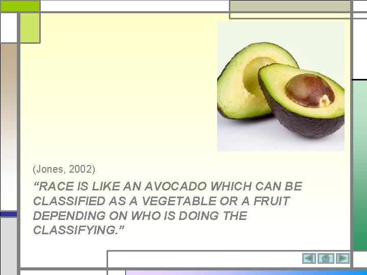 (Jones, 2002) “RACE IS LIKE AN AVOCADO WHICH CAN BE CLASSIFIED AS A VEGETABLE