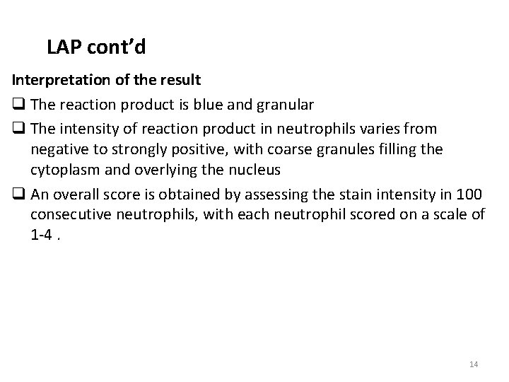 LAP cont’d Interpretation of the result q The reaction product is blue and granular